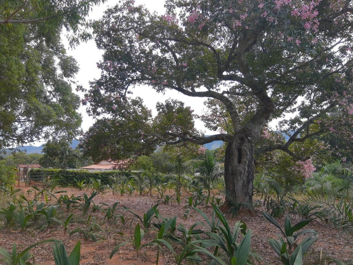 Chale Veredas E Buritis Pirenópolis Exterior foto
