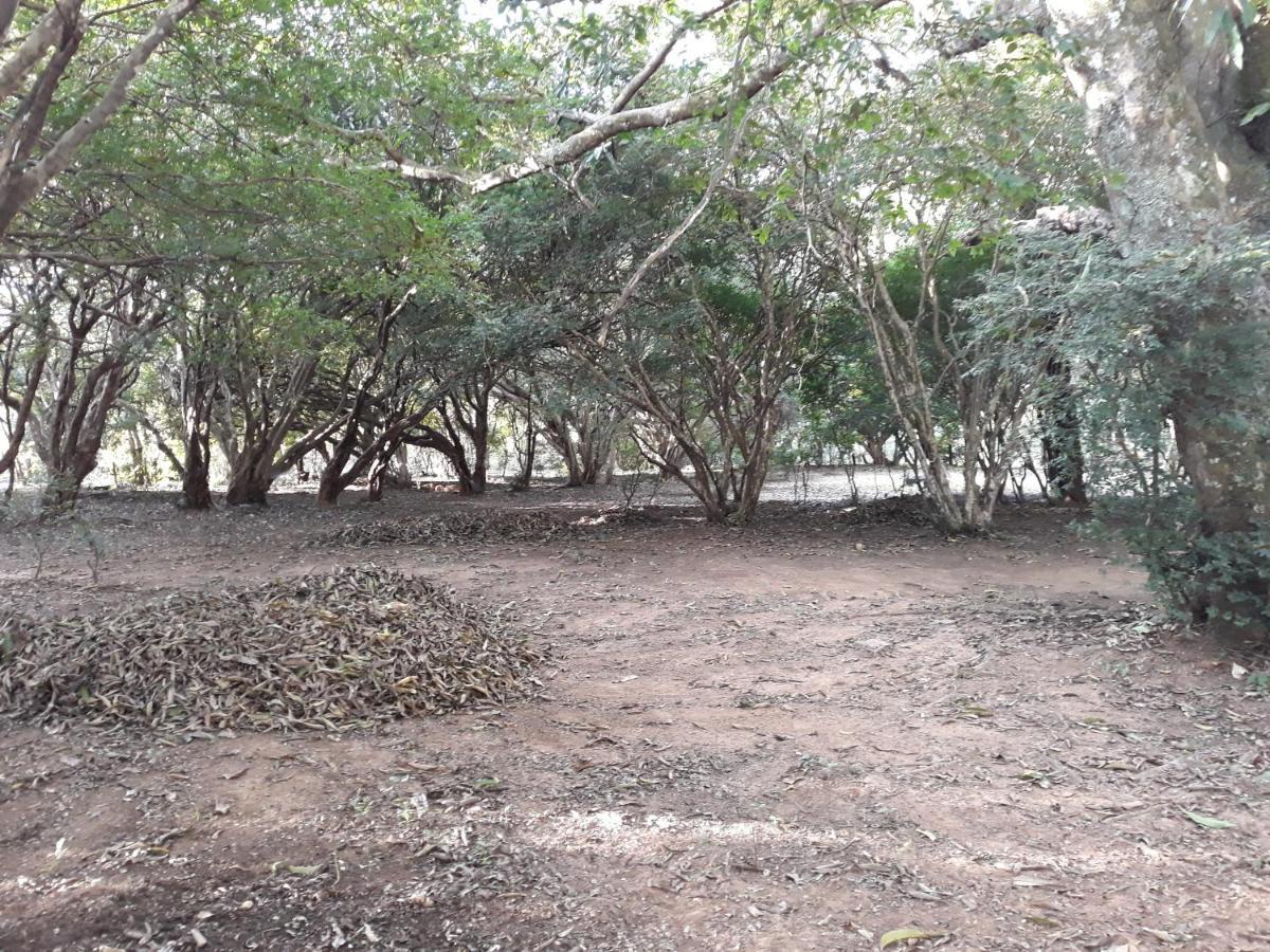 Chale Veredas E Buritis Pirenópolis Exterior foto
