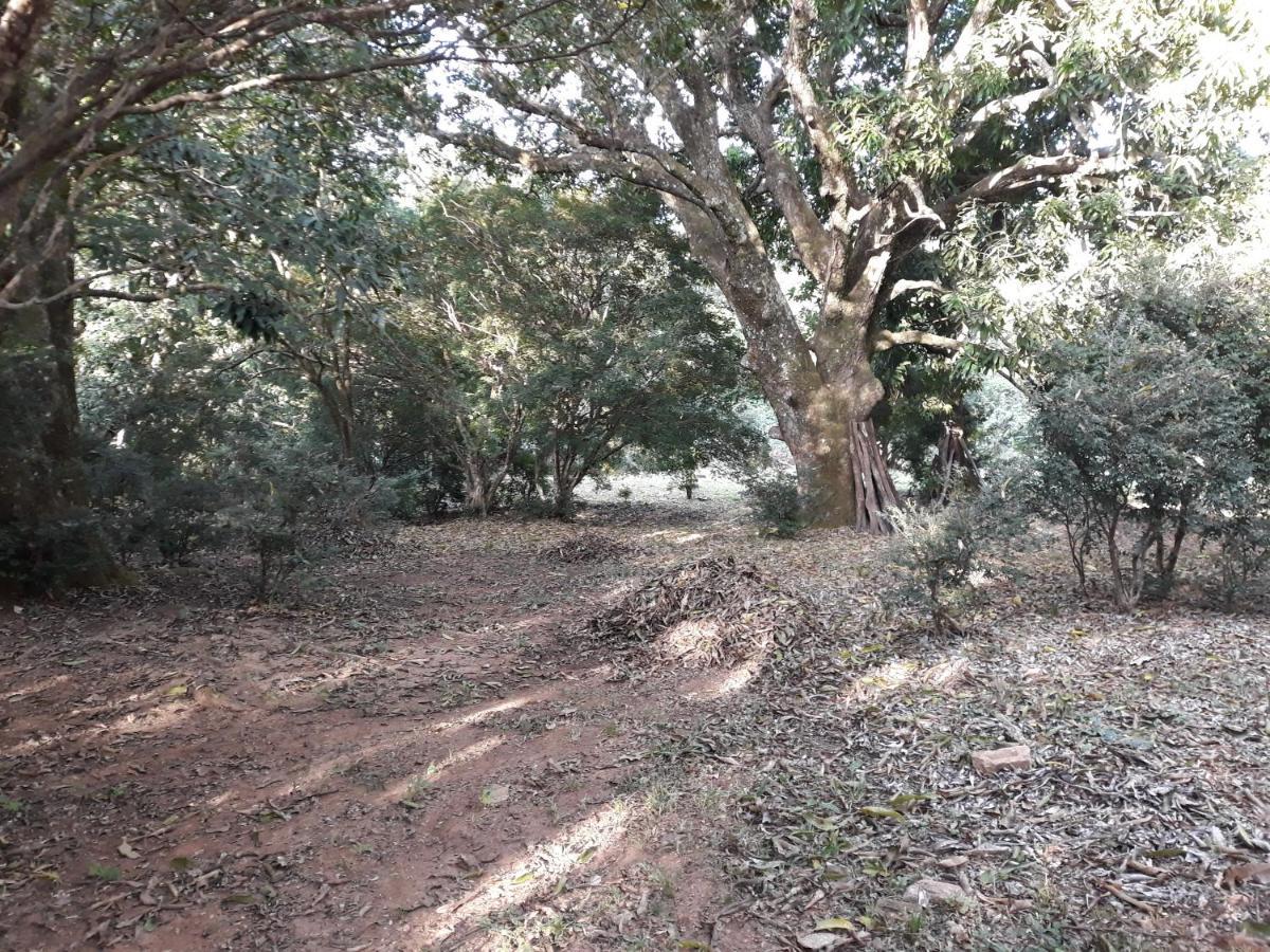 Chale Veredas E Buritis Pirenópolis Exterior foto