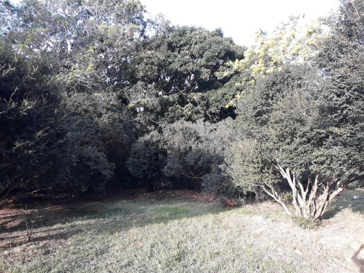 Chale Veredas E Buritis Pirenópolis Exterior foto